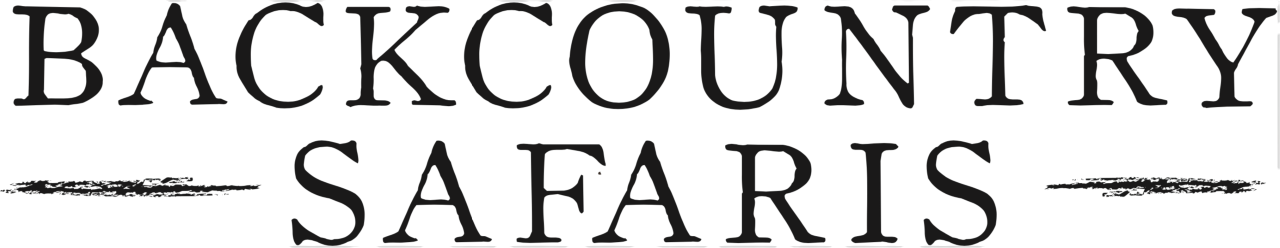 Backcountry Safaris logo