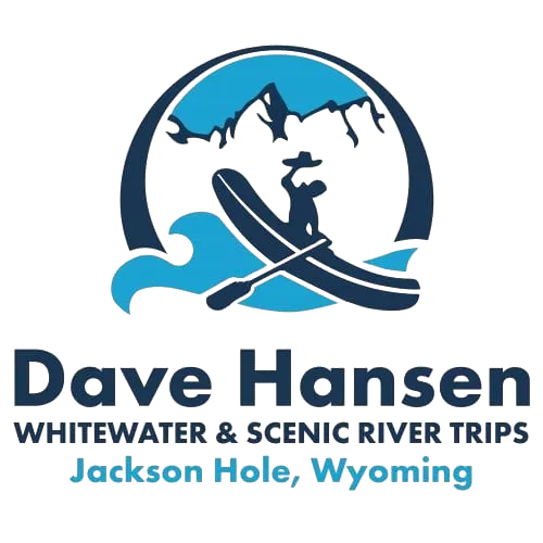 Dave Hansen Whitewater logo