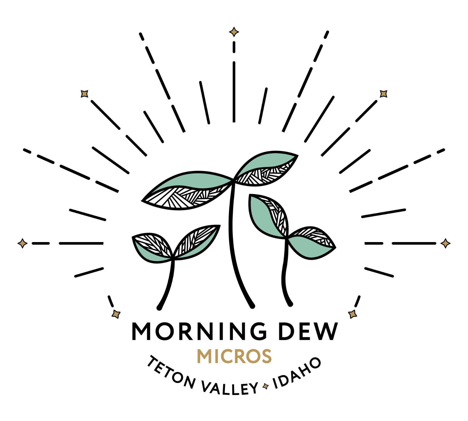 Morning Dew Mushrooms & Micros photo